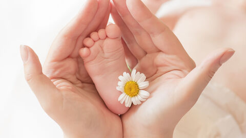 Hände halten ein kleines Babyfüsschen mit einer Blume 