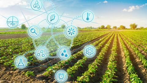 Digitalisierung in der Landwirtschaft Digitalisierung in der Landwirtschaft