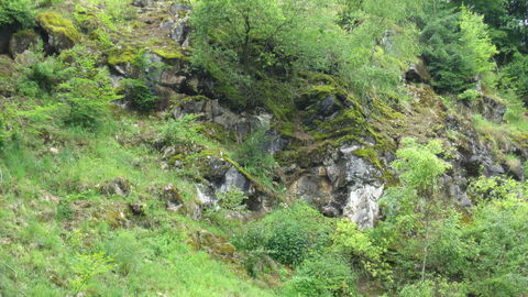 Kümmelberg Kümmelberg