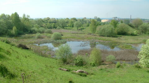 Holzwäldchen bei Krofdorf-Gleiberg
