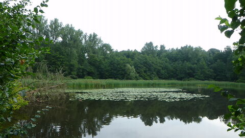 Die Mengelshäuser Teiche rpgießen.hessen.de