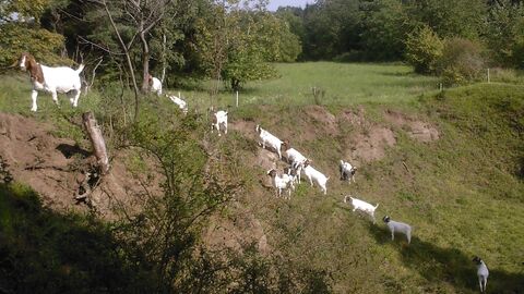 Hoher Stein bei Fernwald Hoher Stein bei Fernwald