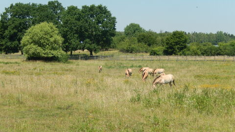 Hohe Warte bei Gießen Hohe Warte bei Gießen