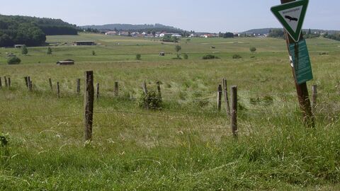 Brühl von Erda Brühl von Erda
