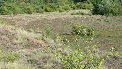 Würzberg bei Garbenheim Würzberg bei Garbenheim