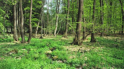 Bermershube bei Heisterberg Bermershube bei Heisterberg
