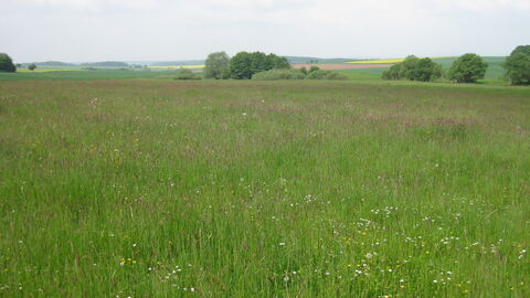 Egelpfuhl bei Oberwetz Egelpfuhl bei Oberwetz
