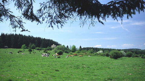 Rückerscheid mit Aubachtal Rückerscheid mit Aubachtal