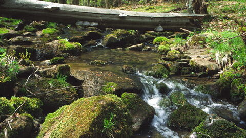 Mühlbachtal bei Gusternhain