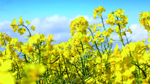 Wahrung landwirtschaftlicher Belange