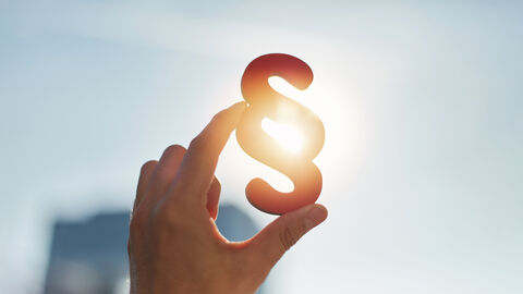 Eine Hand hält einen Paragraphen in die Sonne.