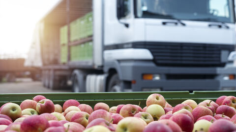 Vor einem LKW stehen Kisten mit Äpfeln.