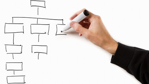 Eine Person zeichnet ein leeres Organigramm an eine weiße Tafel.