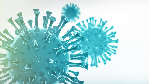 Corona Virus Corona Virus