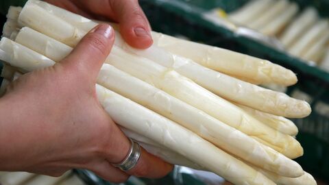 Spargel
