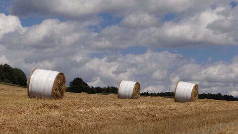Strohballen auf einer landwirtschaftlichen Fläche. Strohballen auf einer landwirtschaftlichen Fläche.