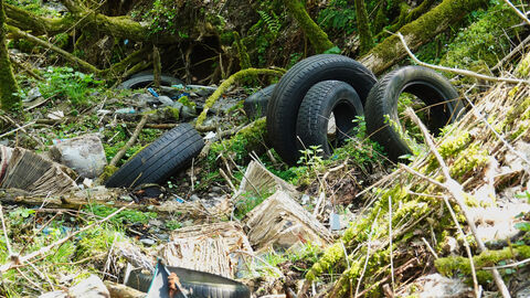 Altreifen und anderer Abfall liegen in der Natur.