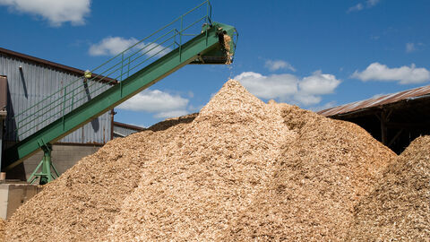 Vor einer Förderanlage liegt eine große Menge Sägemehl.