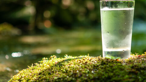 Ein Glas mit Wasser steht vor einem Bachlauf.