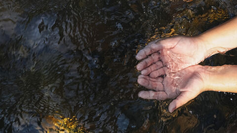 Eine Person hält die Hände in einen Bachlauf.