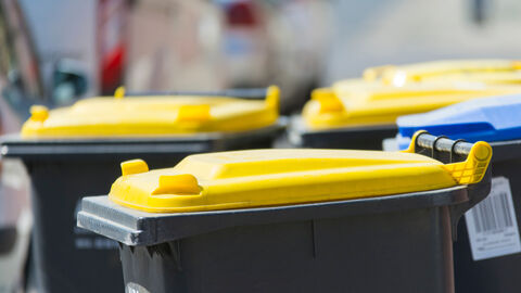 Drei gelbe Tonnen und eine blaue Tonne stehen nebeneinander auf der Straße.