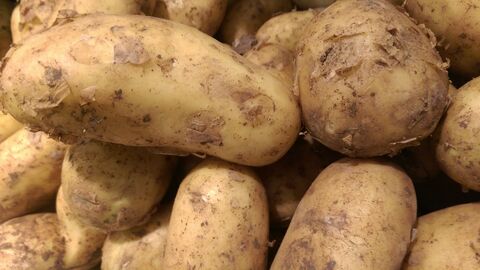 Kartoffeln