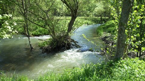 Bachlauf in der Natur.