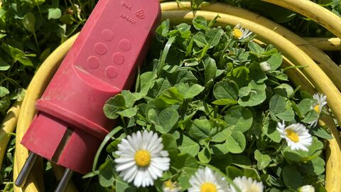Ein Verlängerungskabel liegt auf einer grünen Wiese