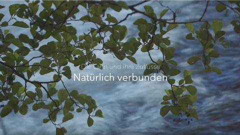 Ein Ast ragt über einen Fluss Ein Ast ragt über einen Fluss