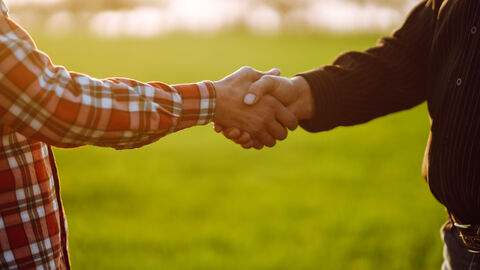 Zwei Personen geben sich auf einer Wiese die Hand.