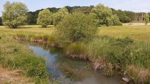 Naturschutzgebiet Lückebachaue Lückebachaue