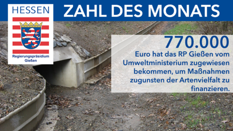 Grafik mit Foto eines Krötentunnels und der Info, dass das RP im Auftrag des Landes 770.000 Euro für Artenschutzmaßnahmen verteilt