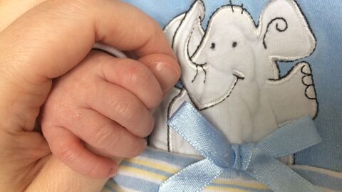 Eine Mama hält die Hand ihres Babys. Eine Nahaufnahme