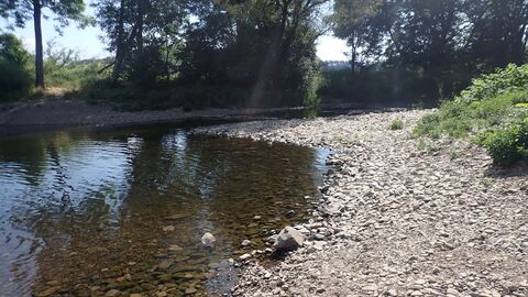 Niedriger Pegelstand in Gewässern Ein Flussbett mit niedrigem Pegelstand