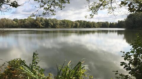 Niederwaldsee in Kirchhain Der Niederwaldsee in Kirchhain im Landkreis Marburg-Biedenkopf