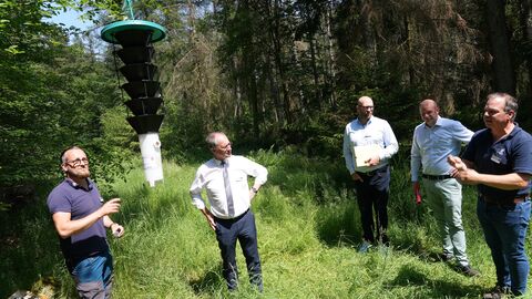 Diese Falle hängt mehrere Meter hoch an einem Baum und soll den Eschenprachtkäfer anlocken, der für großen Schaden sorgen kann (v.l.): Michael Wilhelmi, Regierungspräsident Dr. Christoph Ullrich, Alexander Grüner, Dr. Christian Hillnhütter und Dirk Hill. 