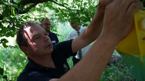 Ein RP-Mitarbeiter kontrolliert eine Falle. Zwei Männer schauen ihm dabei über die Schulter.