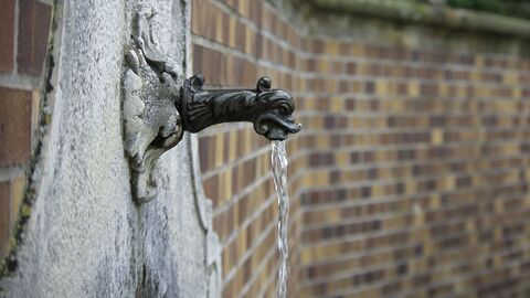 Aus einem Brunnen läuft Wasser.
