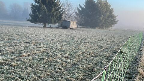 Weidefläche im Winter