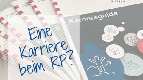 Karriereguide Karriereguide