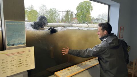 RP-Mitarbeiter Marc Sonnleitner unterstützt den Taucher, indem er die Hand an die zu reinigende Scheibe legt