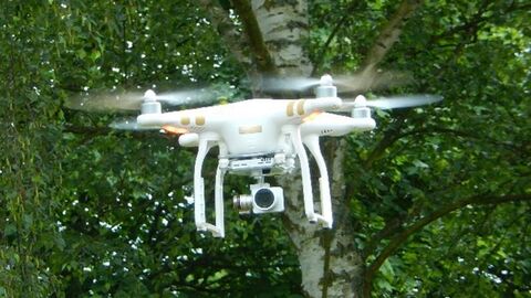 Eine Drohne, die vor einer Gruppe von Bäumen fliegt