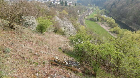 Serie über Biotope Felsen und Trockenrasen im Naturschutzgebiet „Arfurter Felsen“ im Landkreis Limburg-Weilburg.