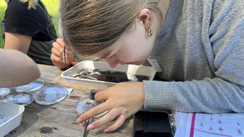 Gewässeruntersuchung Eine Studentin schaut sich mithilfe einer Lupe ein Tier an.