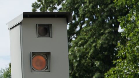 Nahaufnahme eines Blitzers, der vor einem Baum steht