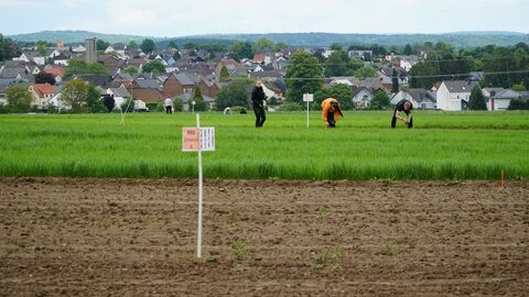 Infobesuch Ahlbach Auf dem Versuchsfeld der Familie Schmitt, Hof Niederfeld in Limburg-Ahlbach, wurden Miscanthus-Streifen angelegt.