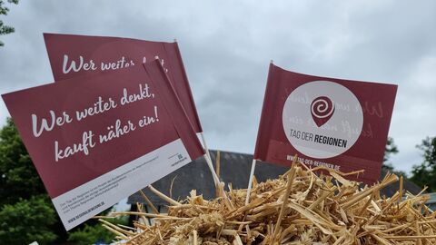 Logo Tag der Regionen