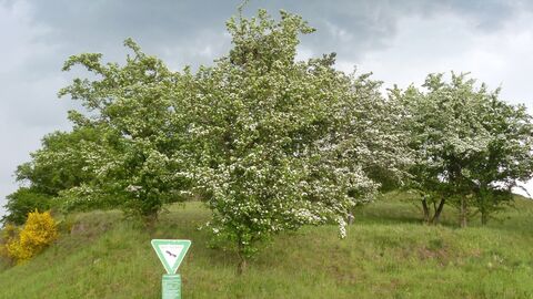 Jahresgespräch mit Naturschutzverbänden in Wetzlar