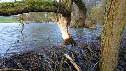 Jahresgespräche Landwirtschaft Jahresgespräche Landwirtschaft