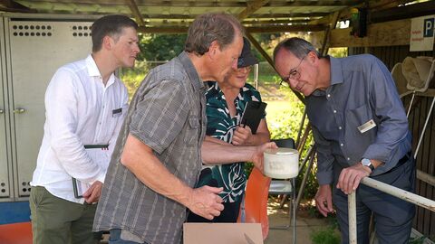 RP auf Sommertour Prof. Dr. Klaus Peter Ebke (2. v. l.) zeigt Regierungspräsident Dr. Christoph Ullrich sowie die RP-Beschäftigten Judith Breidbach und Dr. Florian Peuckert (von rechts), welche Insekten sich in den Fangdosen befinden.